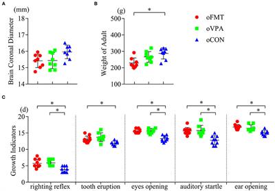 A Novel and Reliable Rat Model of Autism